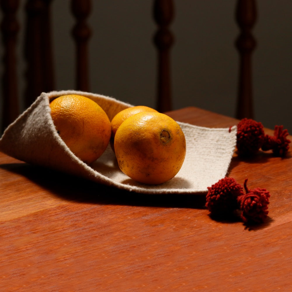 Contenedor Xa-Guie chico