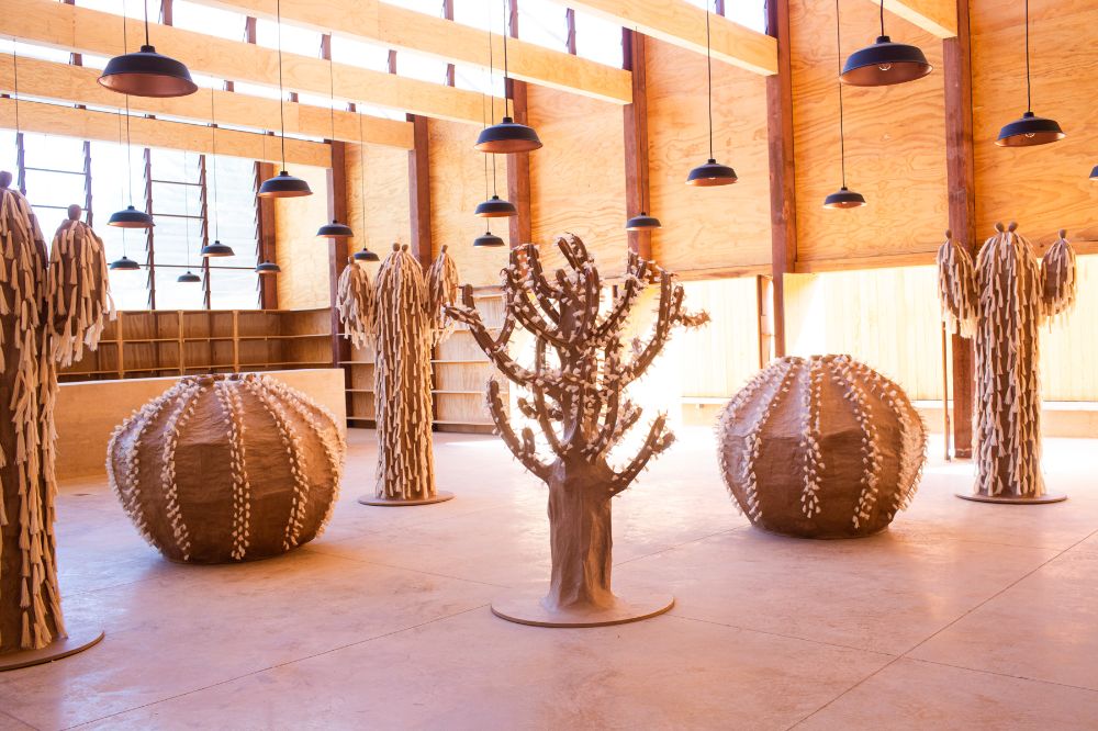 Cactus garden - Biznaga