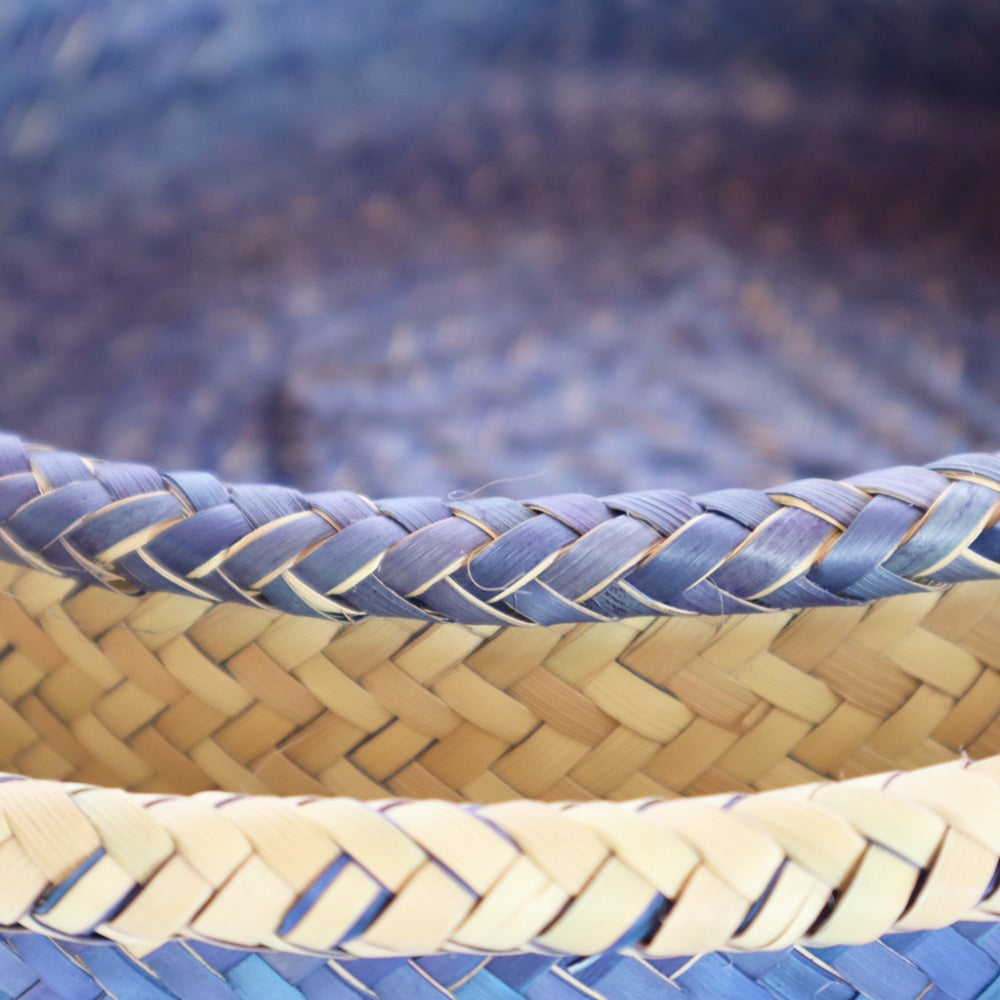 Bicolor Blueberry Baskets