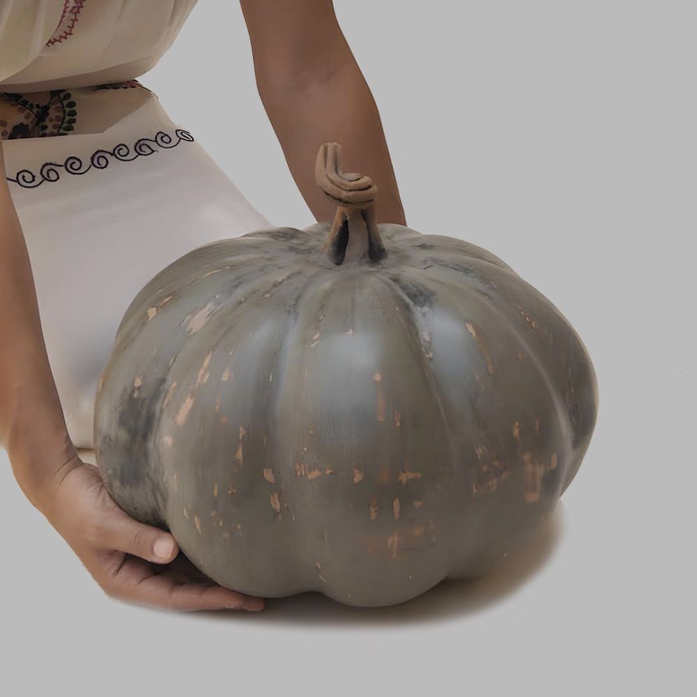 Zinapecuaro Pumpkin