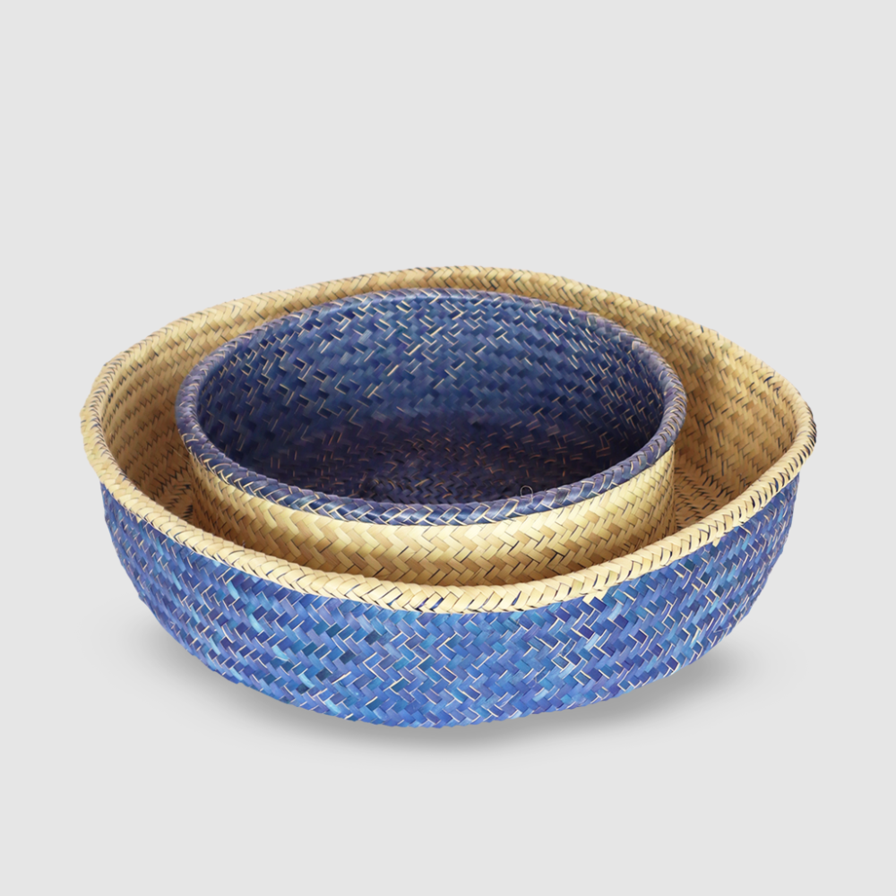 Bicolor Blueberry Baskets