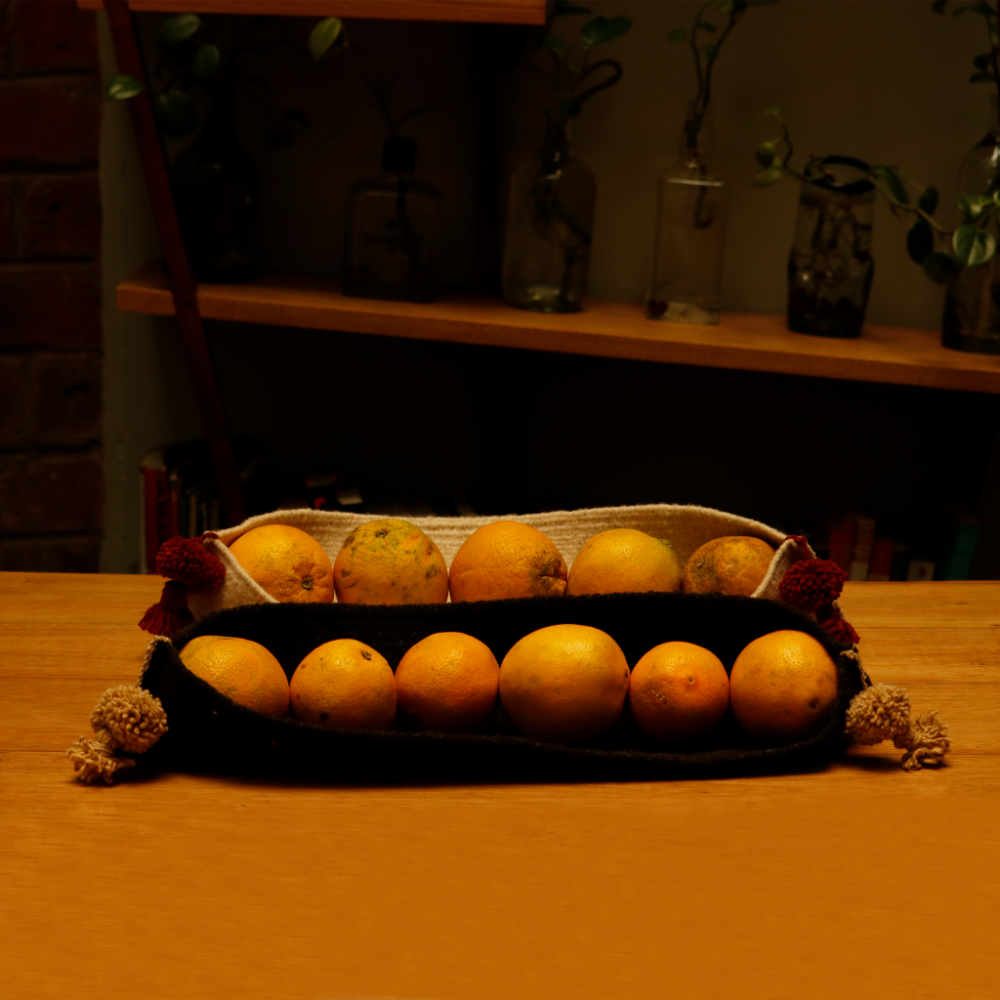 Contenedor Xa-Guie negro mediano