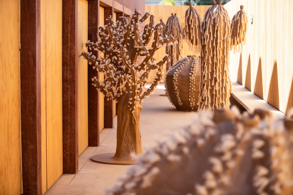 Cactus garden - Biznaga