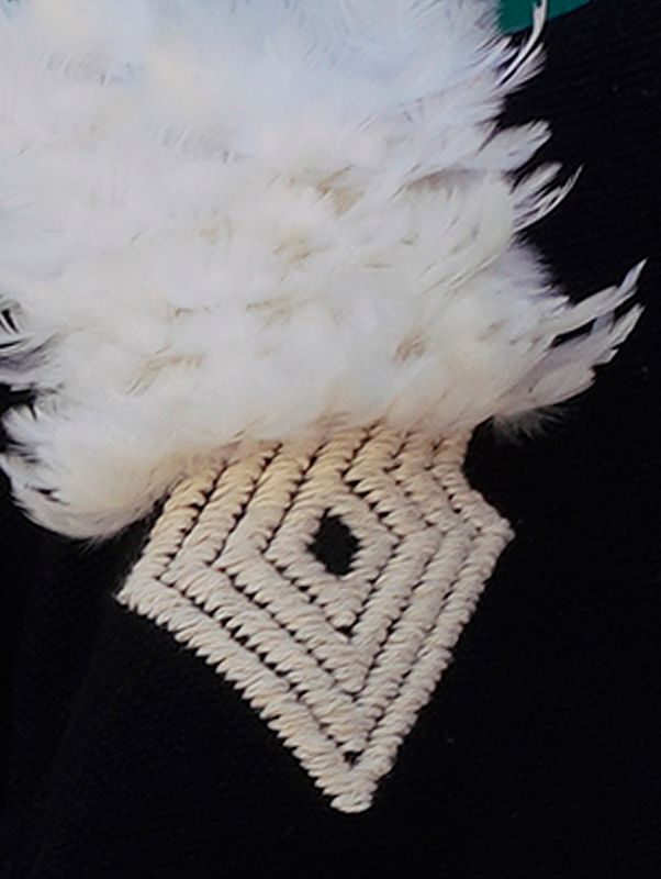 Feathered Serpent Robe
