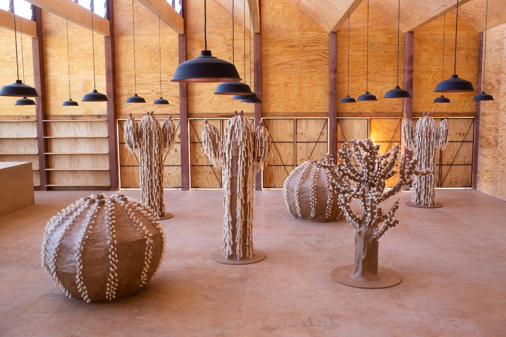 Cactus garden - Biznaga