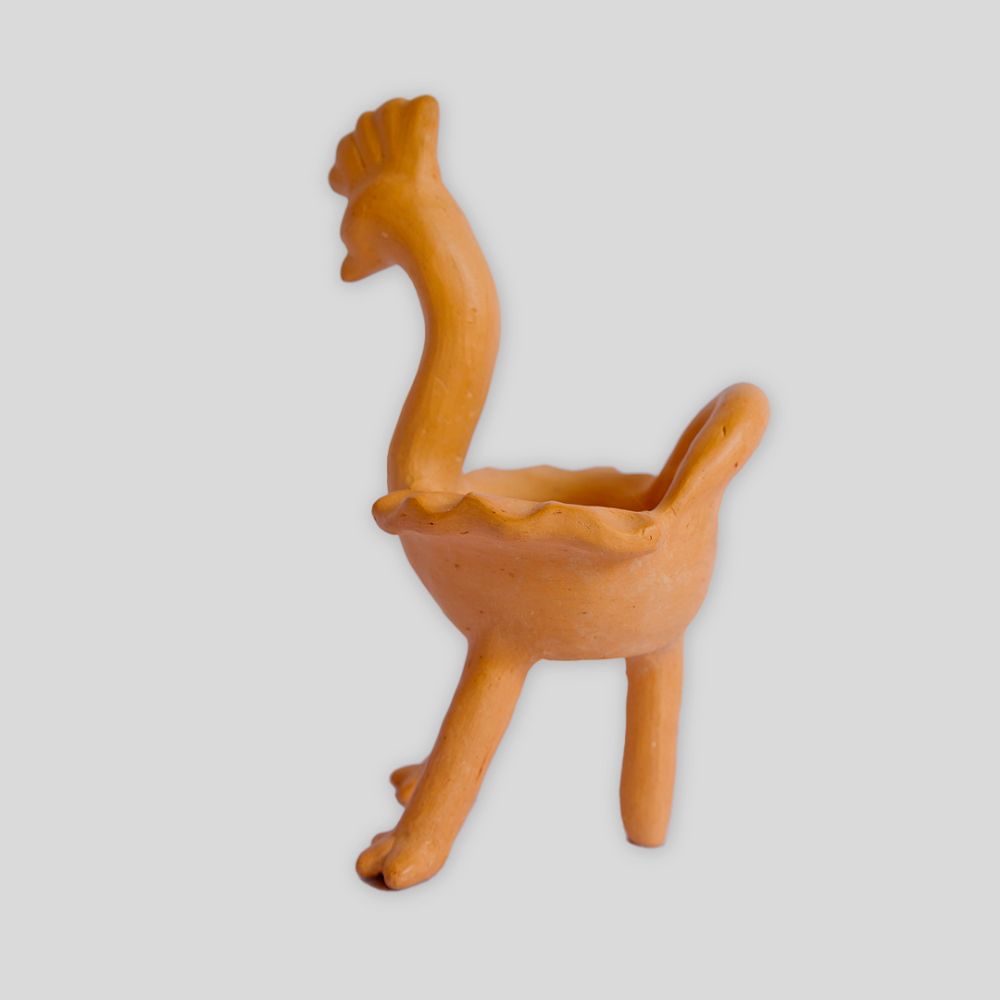 Salsero Gallina
