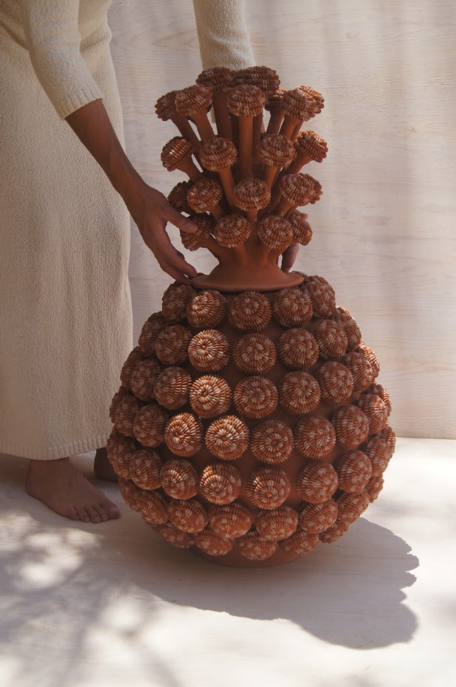 Piña de rosetas