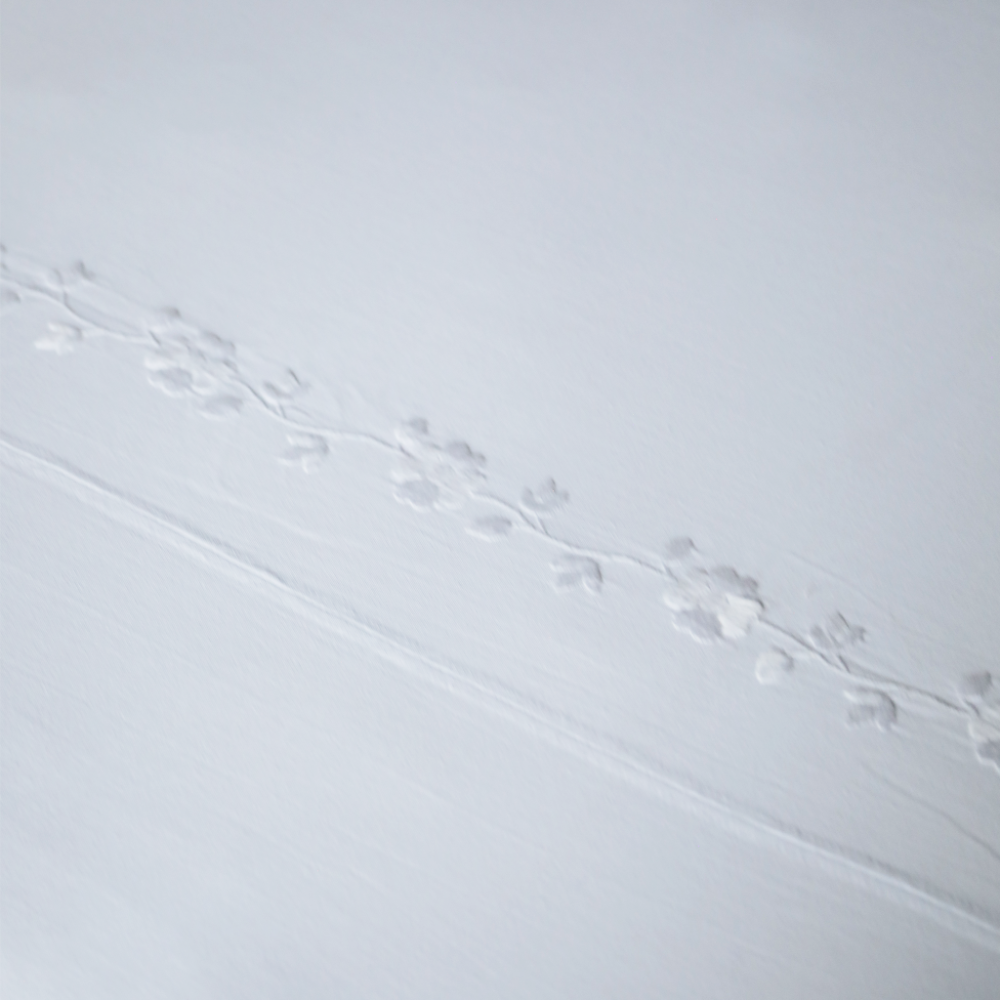 Cubrecama Aguacatenango