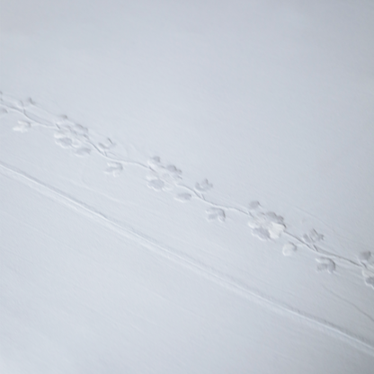 Cubrecama Aguacatenango