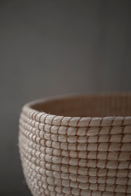 Contenedor Ceiba grande