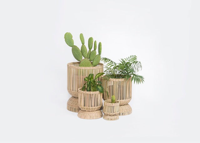 NIDO - maceta mediana