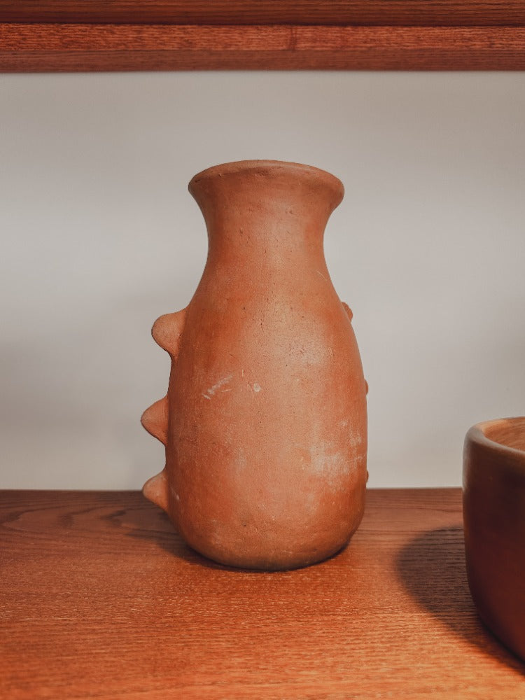 Cocucha Bracito (40 cm)